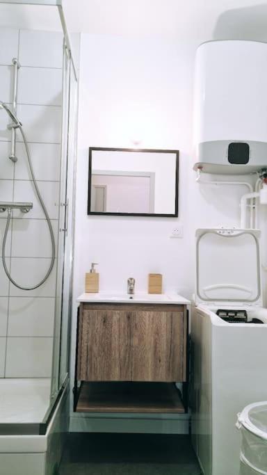 Le Cosy Central Moderne Et Chaleureux 생테티엔 외부 사진